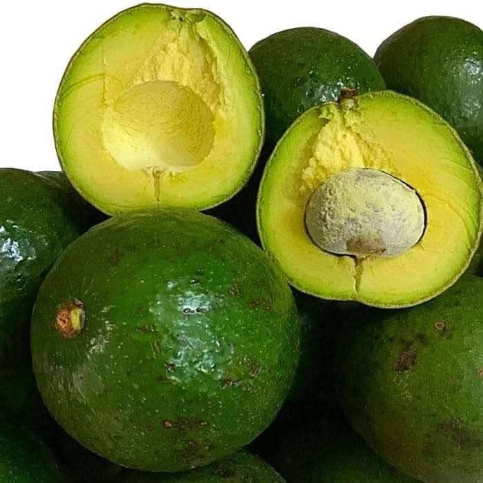 Buccaneer ထောပတ်သီး