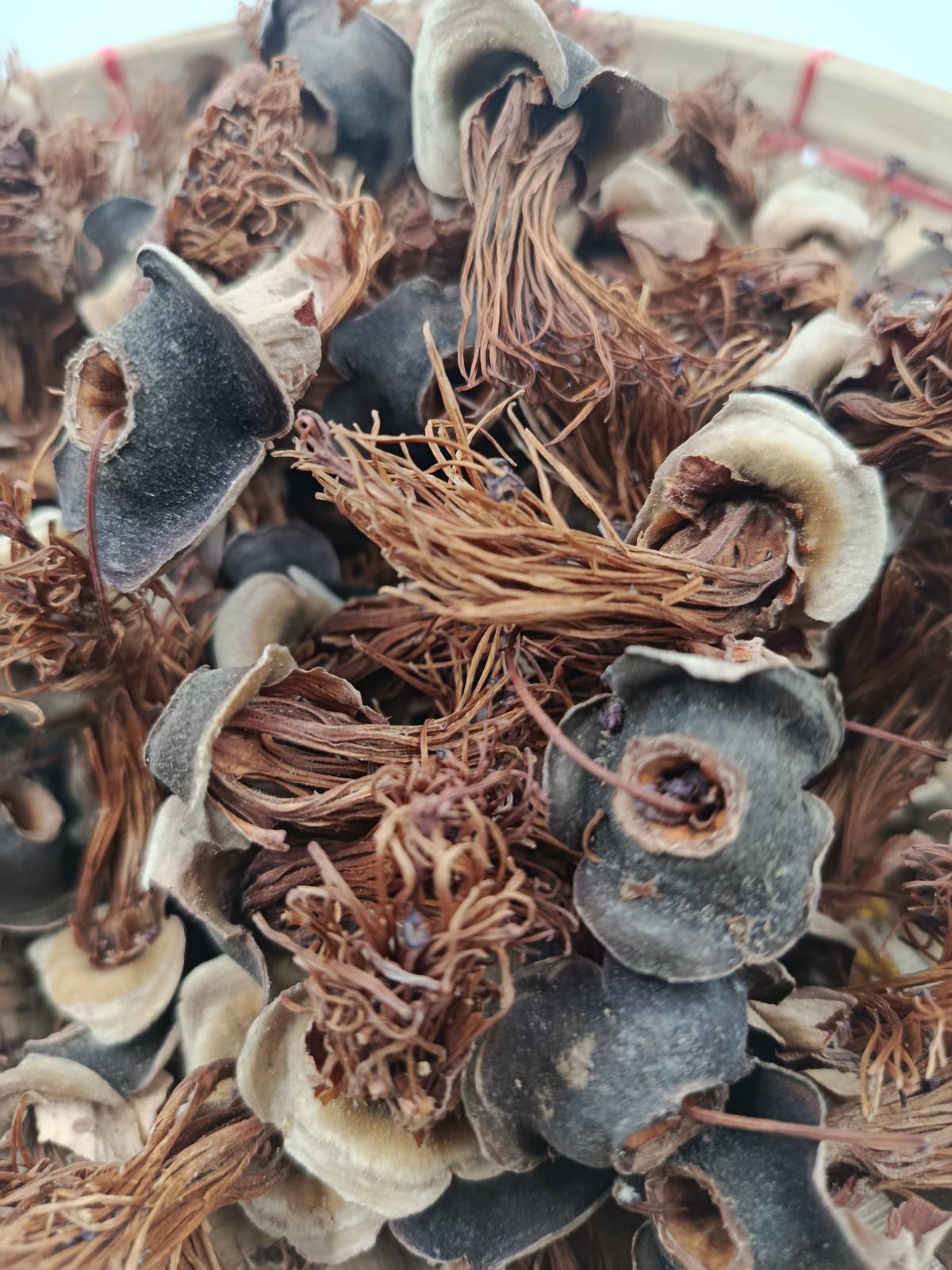 အရွက်ခြောက်အမျိုးမျိုး – လွယ်ကူသက်သာ