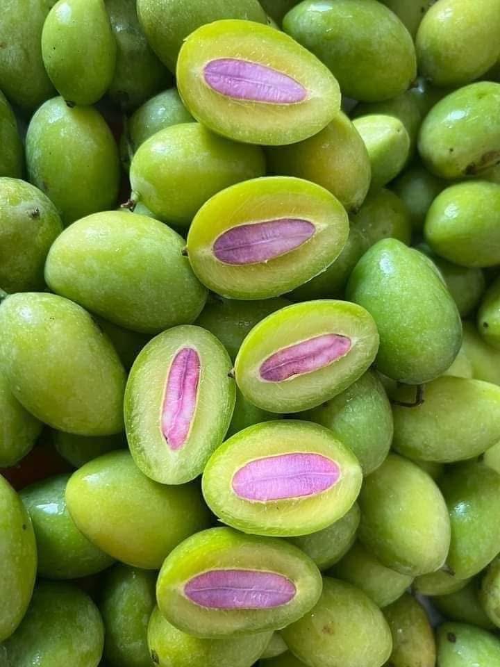 မရမ်းသီးခြောက် Dried Marian(Wholesale)