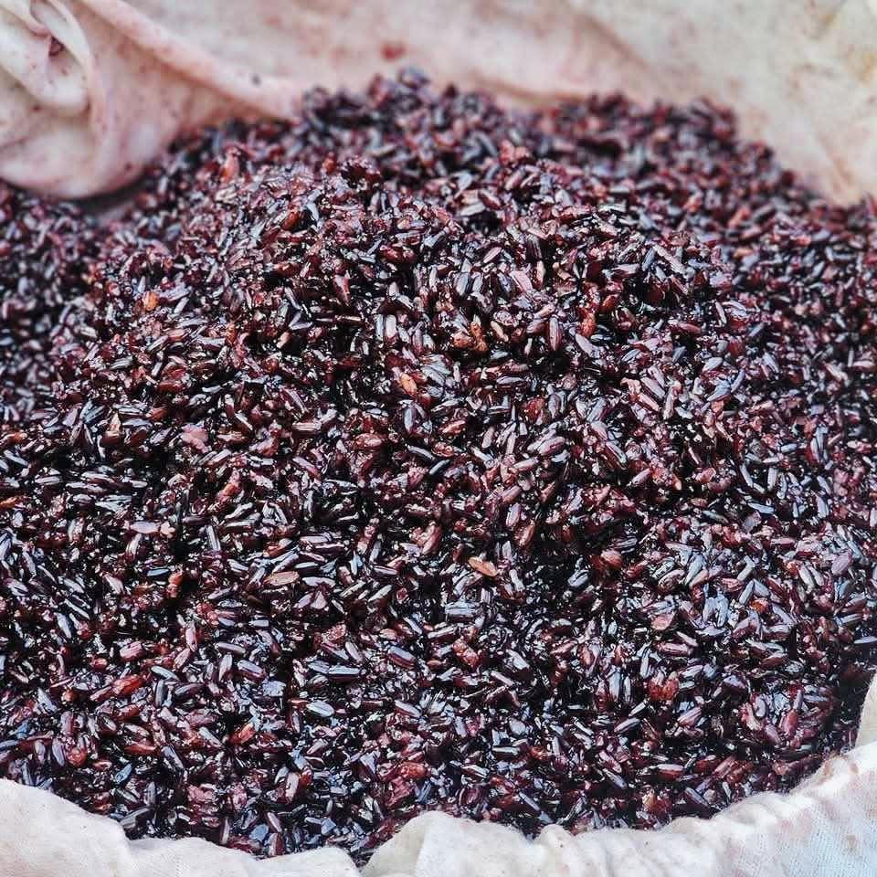 ကောက်ညှင်းဆန် - Image 2