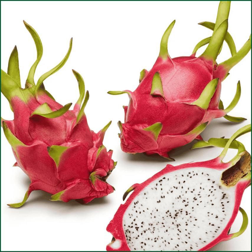 နဂါးမောက်သီး (အနီ/အဖြူ)