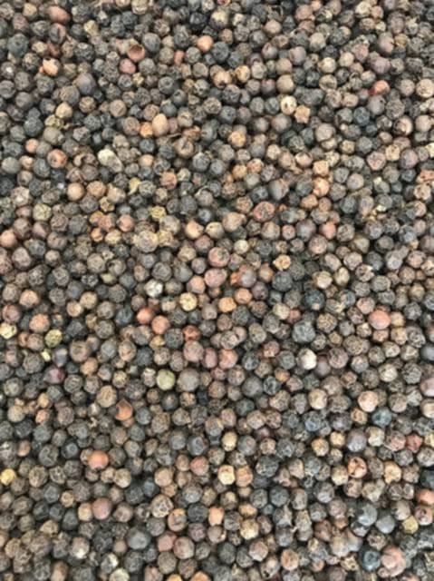 ငရုတ်ကောင်းစေ့ (Pepper Corn)