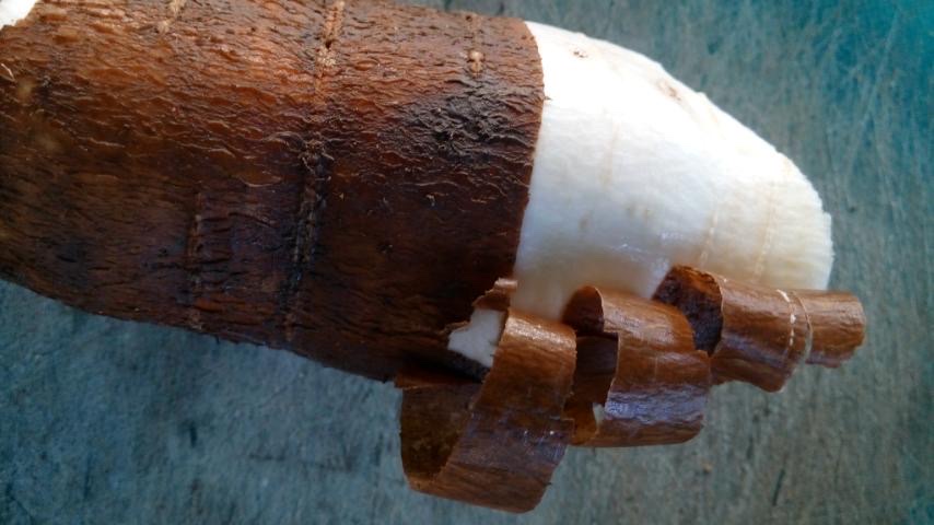 ကလောပီနံဥ Cassava tuber