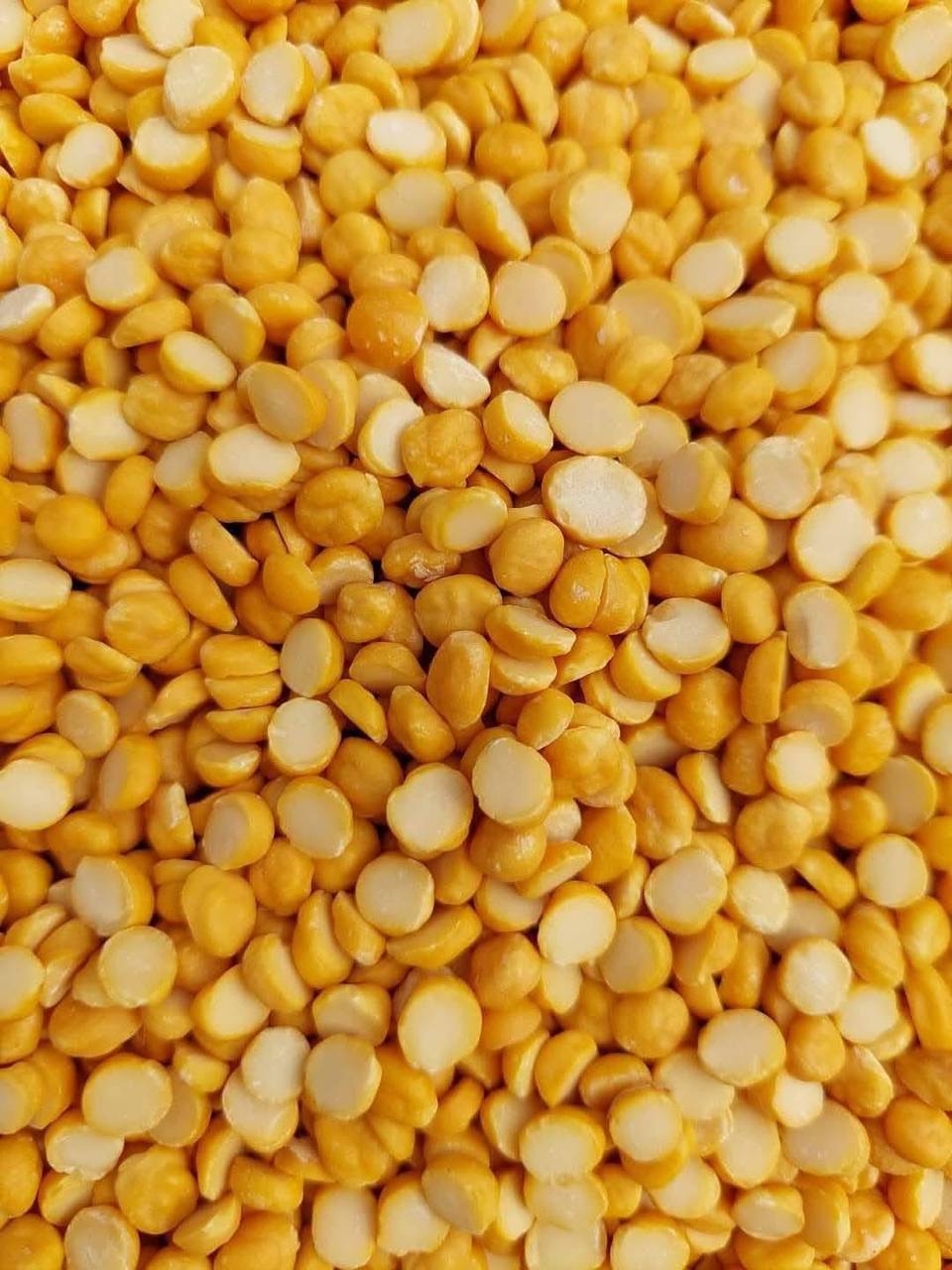 ကုလားပဲ & ခြမ်း Chickpeas & Split Peas