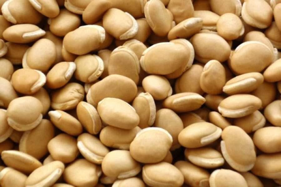 ပဲကြီး Lablab bean