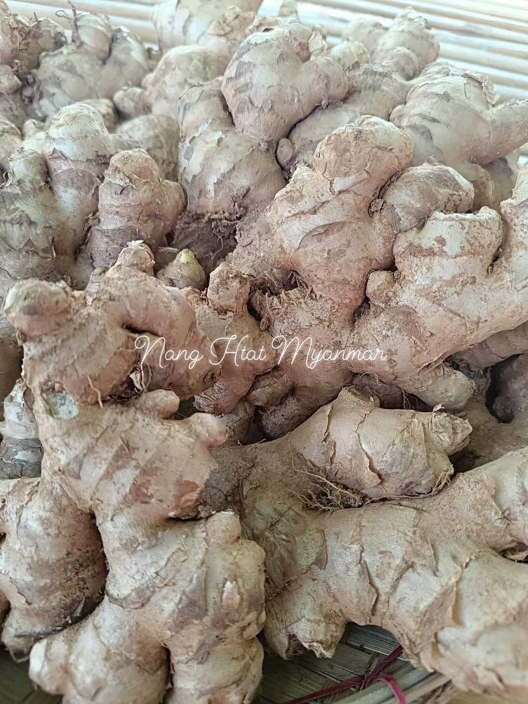 ဂျင်း Ginger