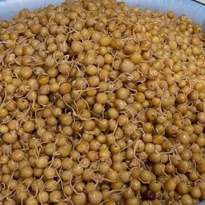 စားတော်ပဲ Shatar Beans