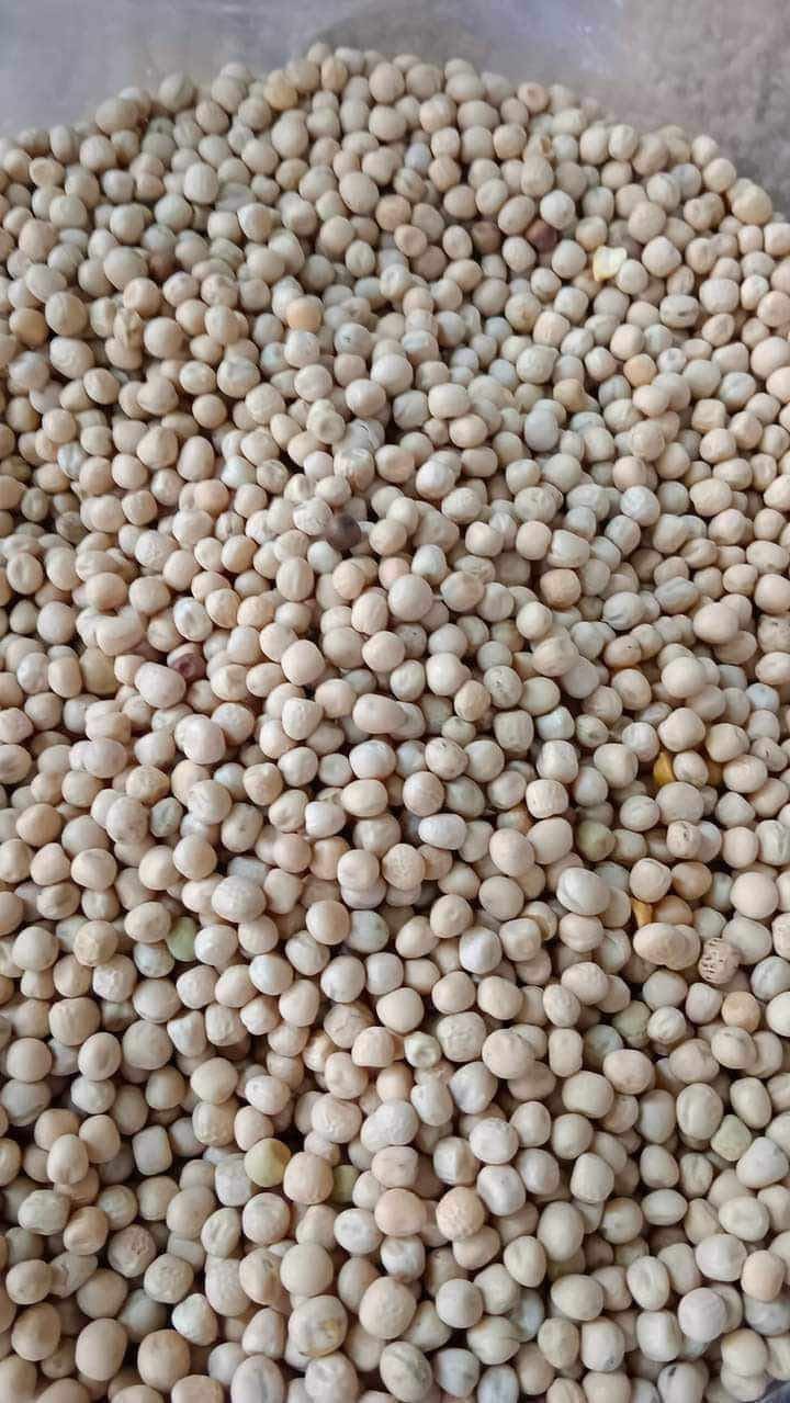 အဟာရပြည့်၀သောပဲအမျိုးမျိုး - Image 2